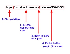 KBase UI URL